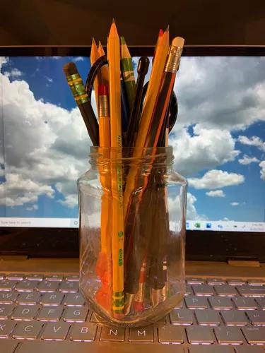 Collection of Pencils Sitting in a Cup